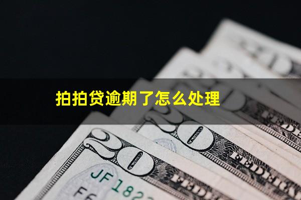 拍拍贷逾期了怎么处理