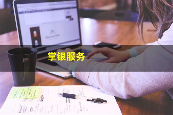 掌银服务