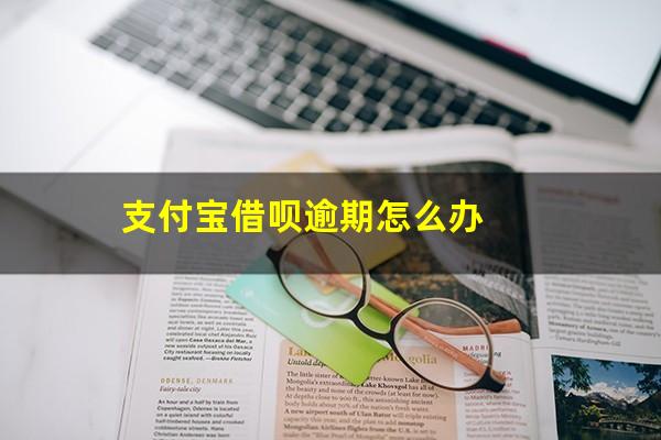 支付宝借呗逾期怎么办