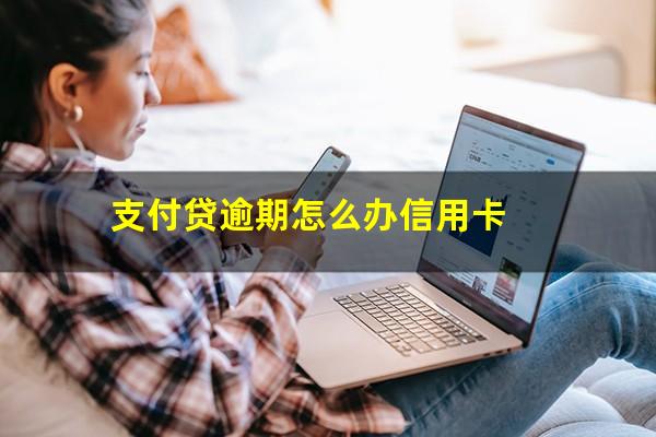 支付贷逾期怎么办信用卡
