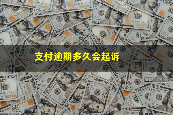 支付逾期多久会起诉
