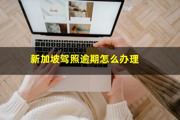 新加坡驾照逾期怎么办理
