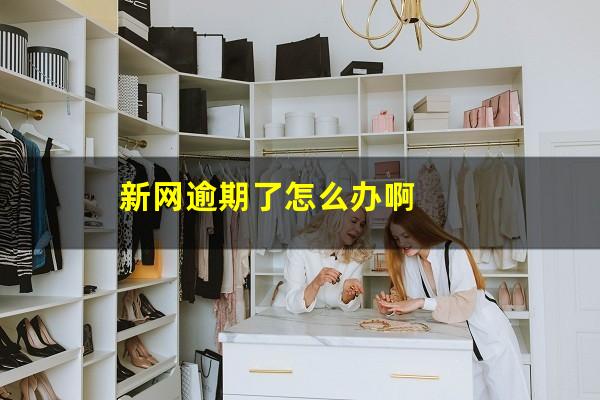 新网逾期了怎么办啊