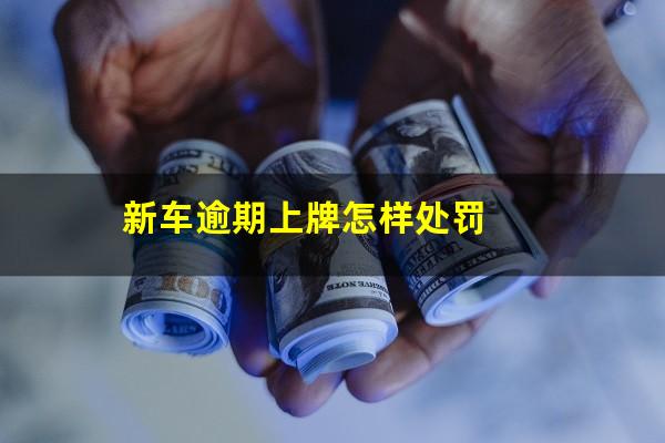 新车逾期上牌怎样处罚