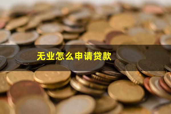 无业怎么申请贷款
