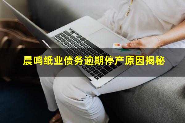 晨鸣纸业债务逾期停产原因揭秘