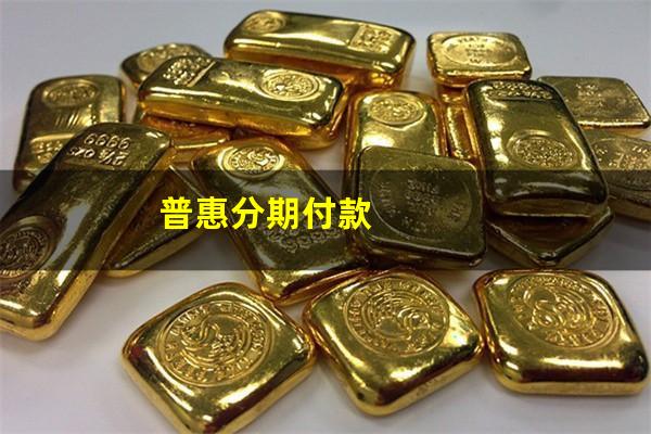 普惠分期付款