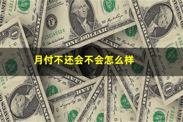 月付不还会不会怎么样
