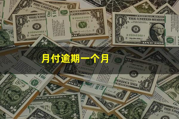 月付逾期一个月