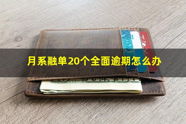 月系融单20个全面逾期怎么办