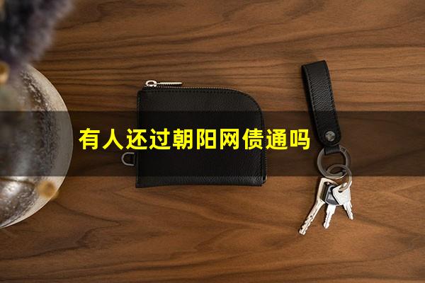 有人还过朝阳网债通吗
