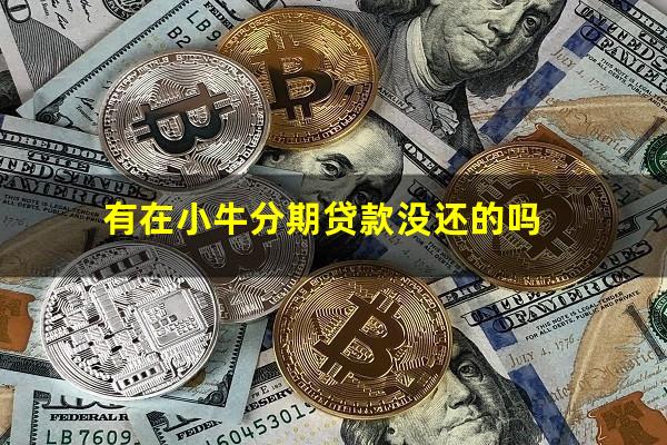 有在小牛分期贷款没还的吗