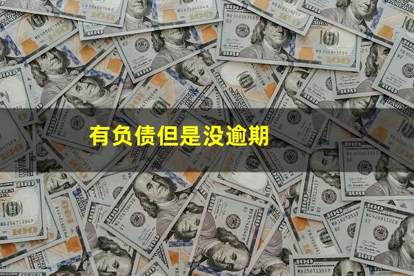 有负债但是没逾期