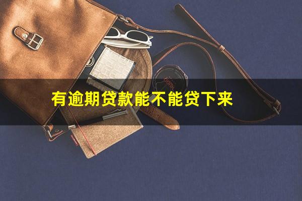 有逾期贷款能不能贷下来