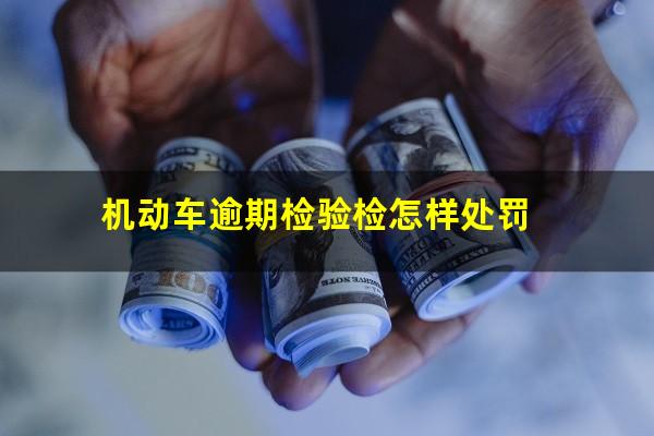 机动车逾期检验检怎样处罚