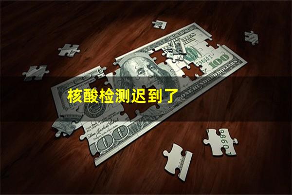 核酸检测迟到了