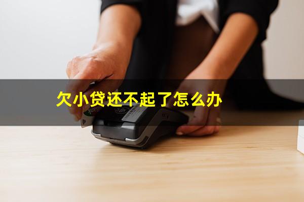 欠小贷还不起了怎么办