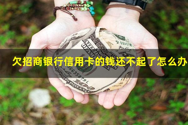 ?欠招商银行信用卡的钱还不起了怎么办120万?