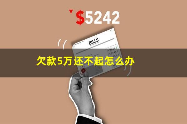欠款5万还不起怎么办