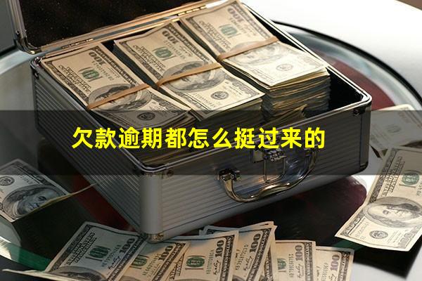 欠款逾期都怎么挺过来的
