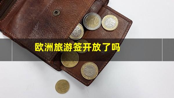 欧洲旅游签开放了吗