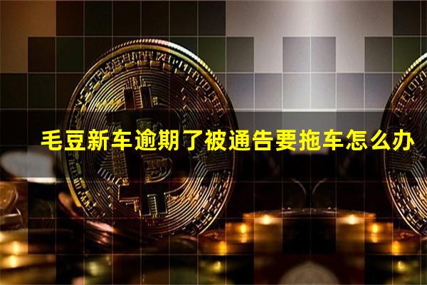 毛豆新车逾期了被通告要拖车怎么办