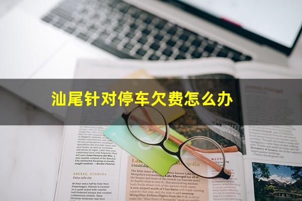 汕尾针对停车欠费怎么办