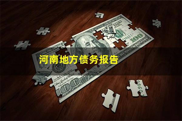 河南地方债务报告