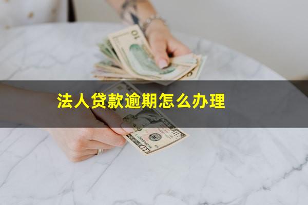 法人贷款逾期怎么办理