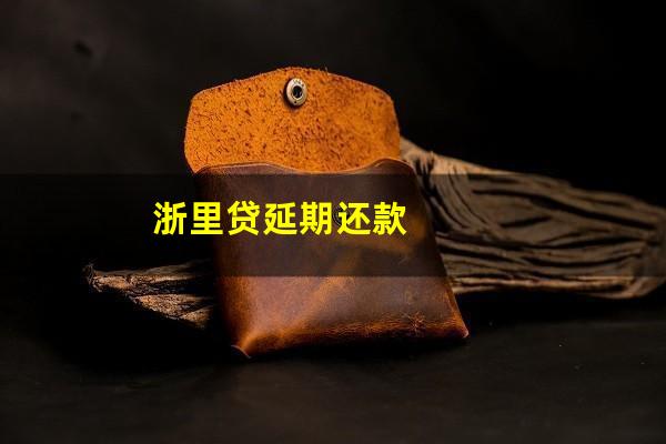 浙里贷延期还款