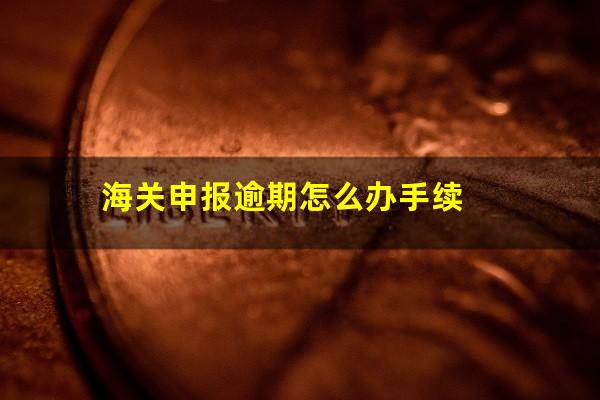 海关申报逾期怎么办手续