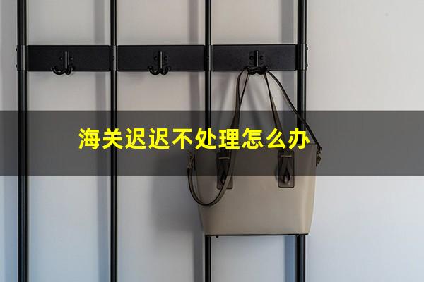 海关迟迟不处理怎么办