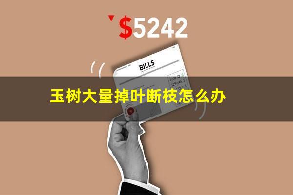 玉树大量掉叶断枝怎么办