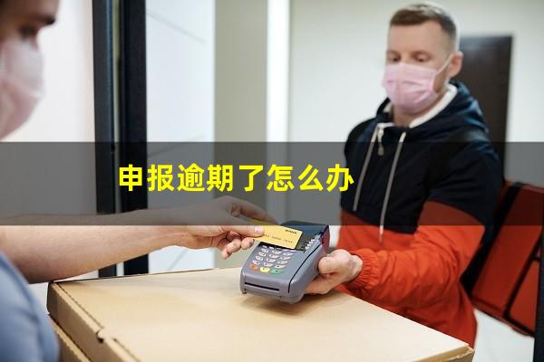 申报逾期了怎么办