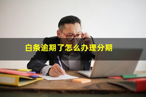 白条逾期了怎么办理分期