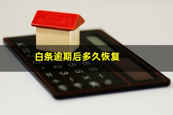 白条逾期后多久恢复