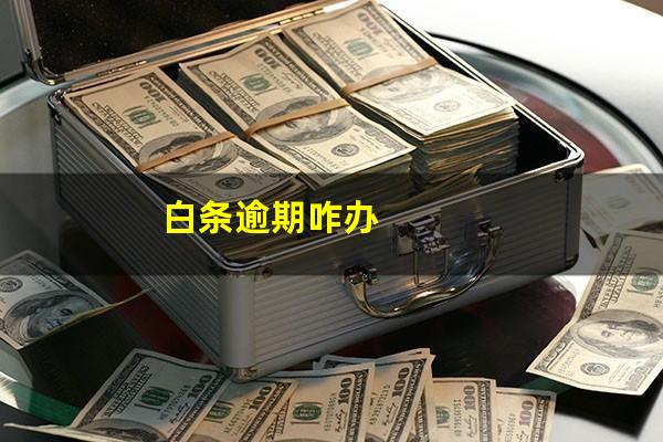 白条逾期咋办