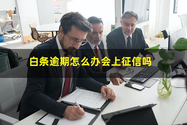 白条逾期怎么办会上征信吗