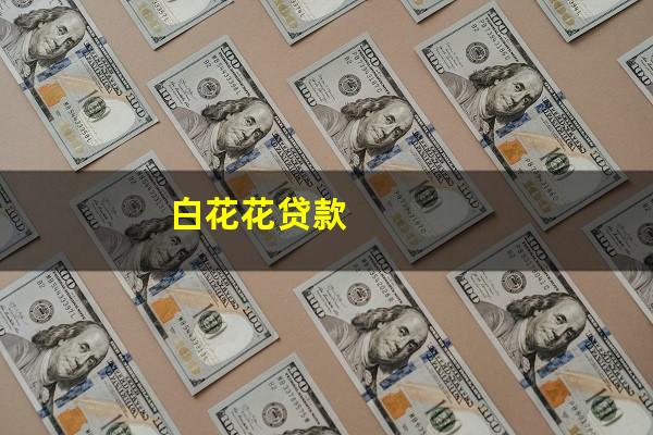 白花花贷款