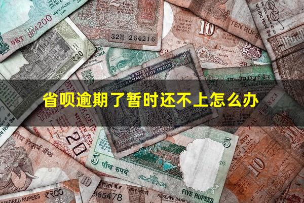 省呗逾期了暂时还不上怎么办