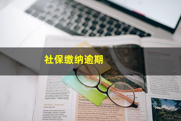 社保缴纳逾期
