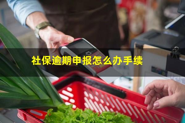 社保逾期申报怎么办手续