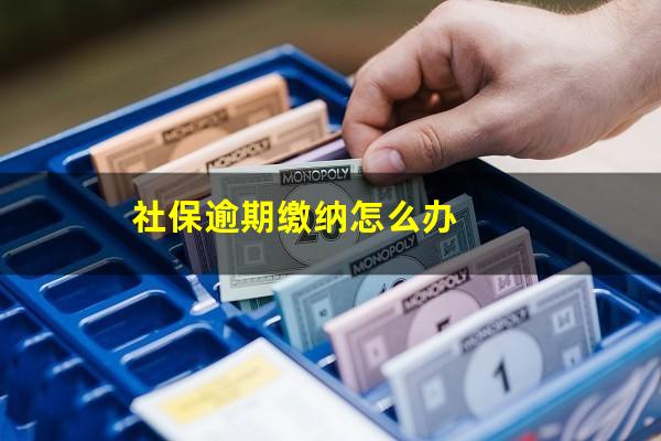 社保逾期缴纳怎么办