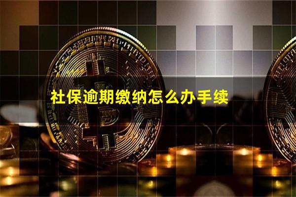 社保逾期缴纳怎么办手续