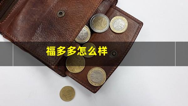 福多多怎么样