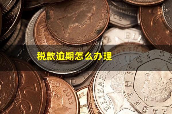 税款逾期怎么办理