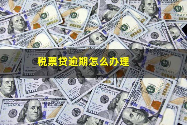 税票贷逾期怎么办理