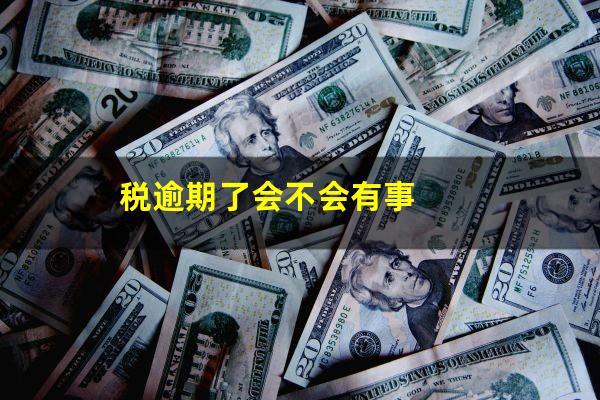 税逾期了会不会有事