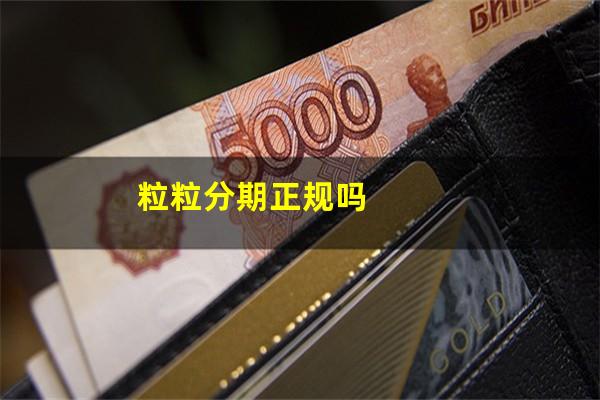 粒粒分期正规吗