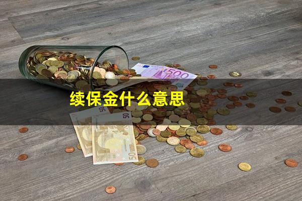 续保金什么意思